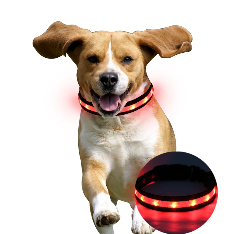 

New Designed USB Colorful Blinking LED Dog Collar, Red/yellow/blue/green/orange/white/pink