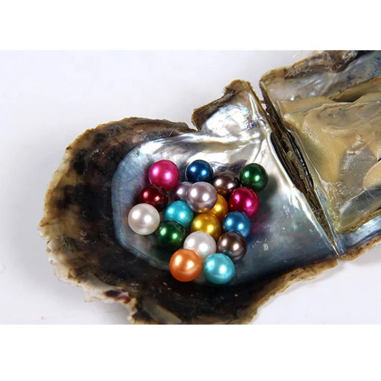 

Bulk Wholesale 6-8mm akoya pearl Oyster With Round Natural saltwater Pearls