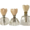 Good Price Pure Transparent Removable Dental Implant Model