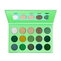 

High Pigment Color Fast Vegan 15 Colors Cruelty free eyeshadow palette private label