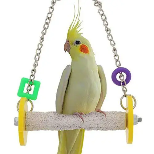 

Parrot Stand Shockproof Perch and Granular sanding Swing with Chain Rope Bird Toy for Bird parrot small animals