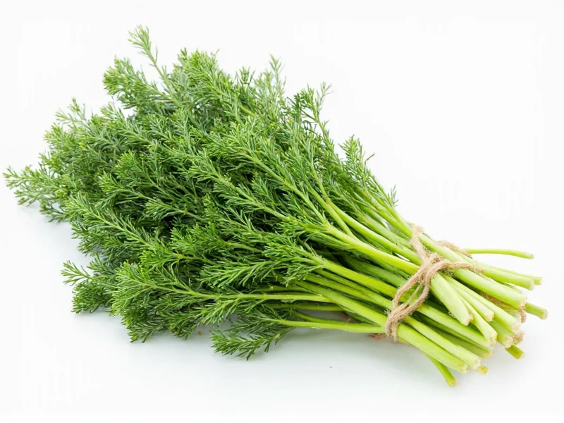 Best Dill Substitutes: Practical Herb Replacements for Cooking