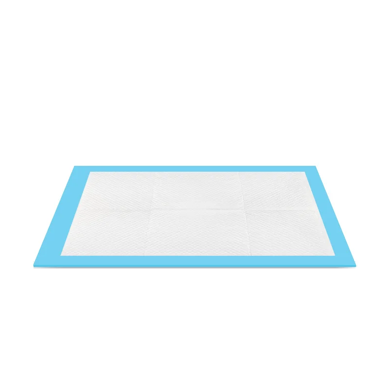 

2021 Disposable Blue Multiple Sizes Pet Pad Training