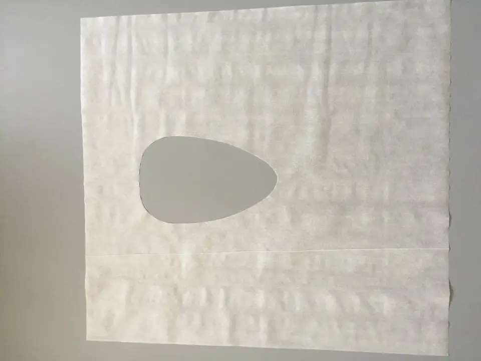 disposable toilet seat cover.jpg