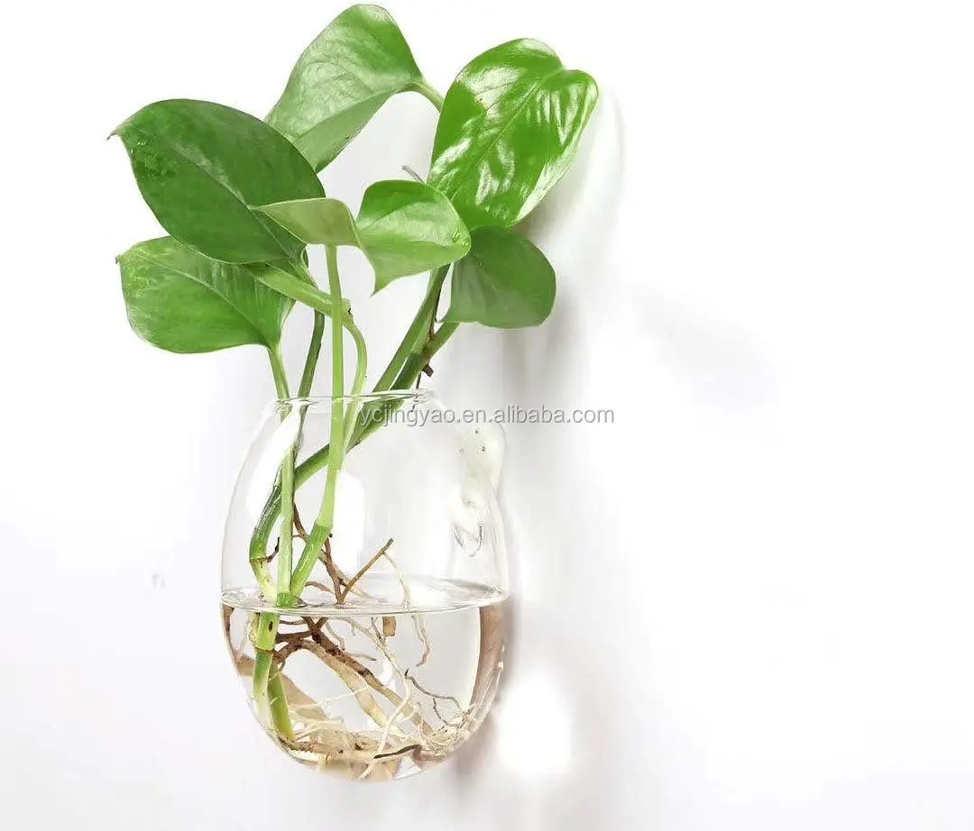 

2PCS Wall Hanging Glass Plant Terrarium Container Egg Shape for Propagating Hydroponic Plants Home Office Garden Decor Wedding, Clear