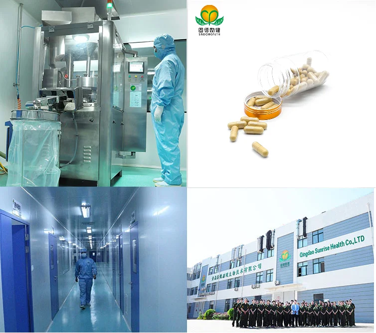 cordyceps capsule.png