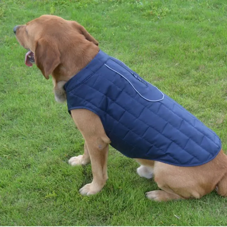 

Wholesale Pet Supplies Philippines Dog Jacket, As picture