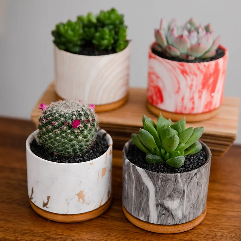 

Amazon hotsale Cylinder pot marble look surface ceramic mini flower pot for cactus home decoraion desktop decoration, As picture