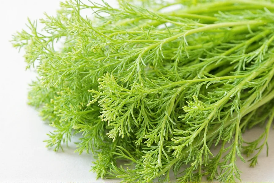 Fennel Benefits: Science-Backed Health Advantages