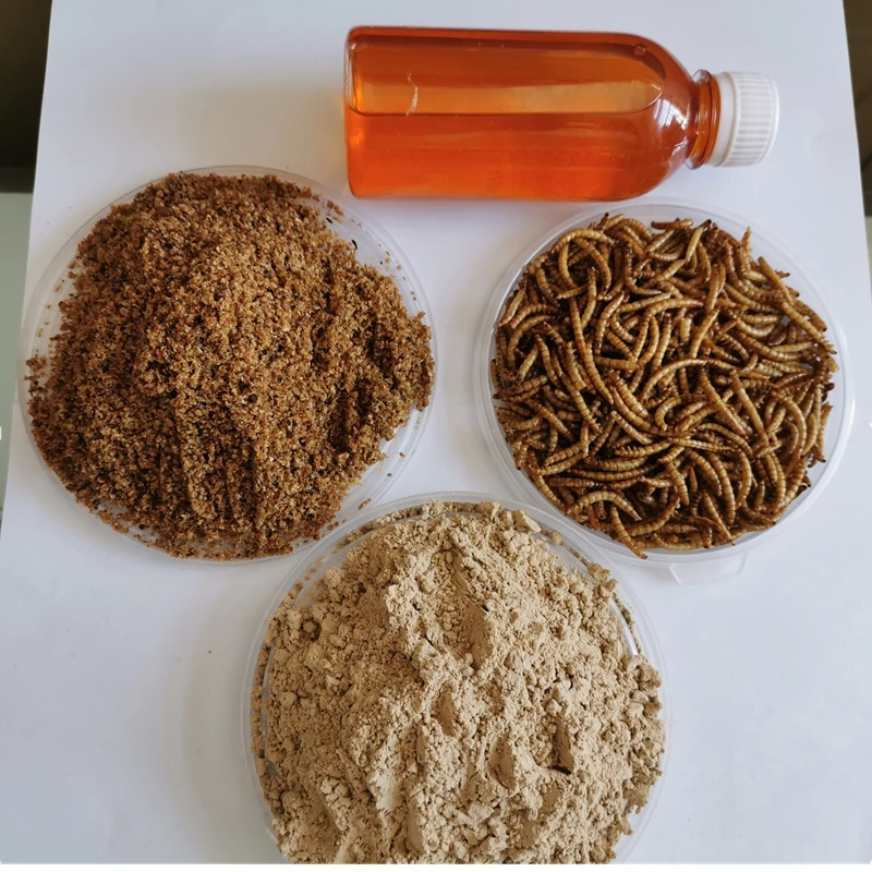 mealworm powder-6