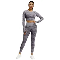 

2019 Wholesale Yoga wear Fitness Yoga Wear Two Piece Set Women Clothing seamless set