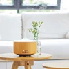 250ML Smart Humidifier Aroma Diffuser, High Quality Diffuser with Wifi Function, Factory Price Essential Oil Humidifier