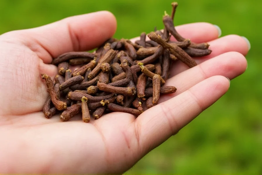 How to Make Clove Oil: Safe Home Extraction Method