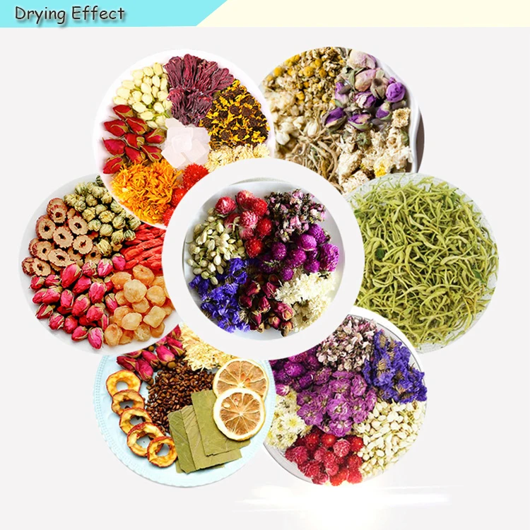 drying machine  (5).jpg