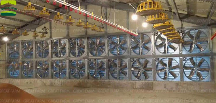 Push-pull Type Exhaust Fan, 1380, 50inch, Centrifugal - detail 26