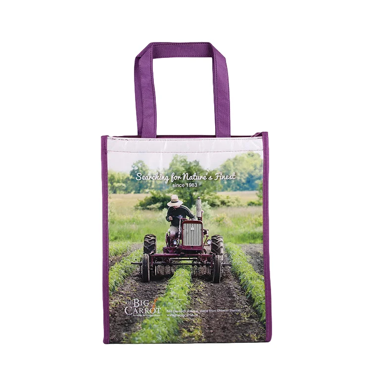 

Factory Direct Sale Reusable non woven cooler lunch bag, Gery, black, pink,blue etc