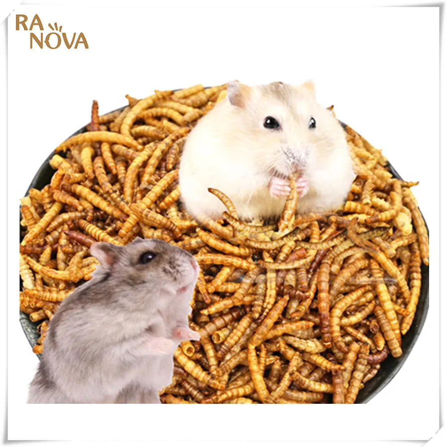 

healthy pet snacks Hot selling dried mealworm/Freeze dried mealworm /live mealworm, Natural color