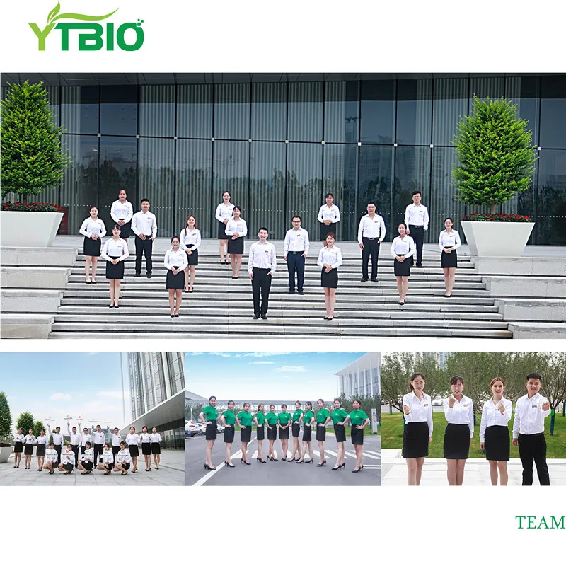 
Yuantai Supply NAD+ Powder/ Beta-Diphosphopyridine Nucleotide 