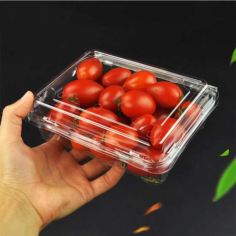 

Bakery Box Clear Plastic Fruit Salad Packaging Container, Transparent