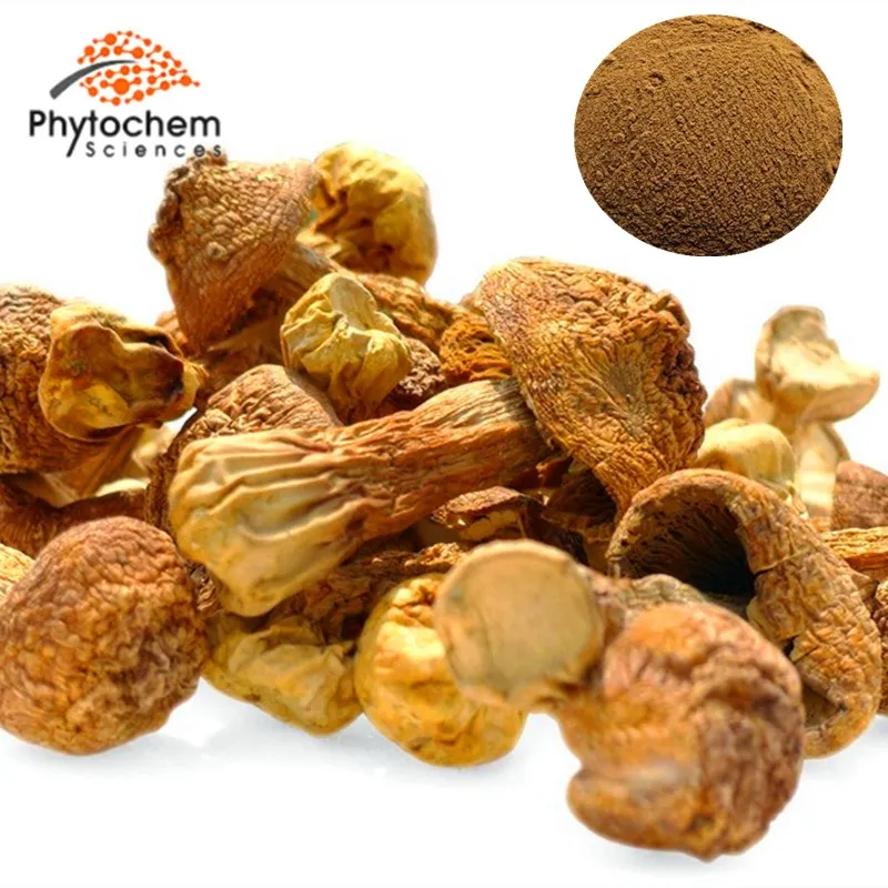 Agaricus Blazei Extract.jpg