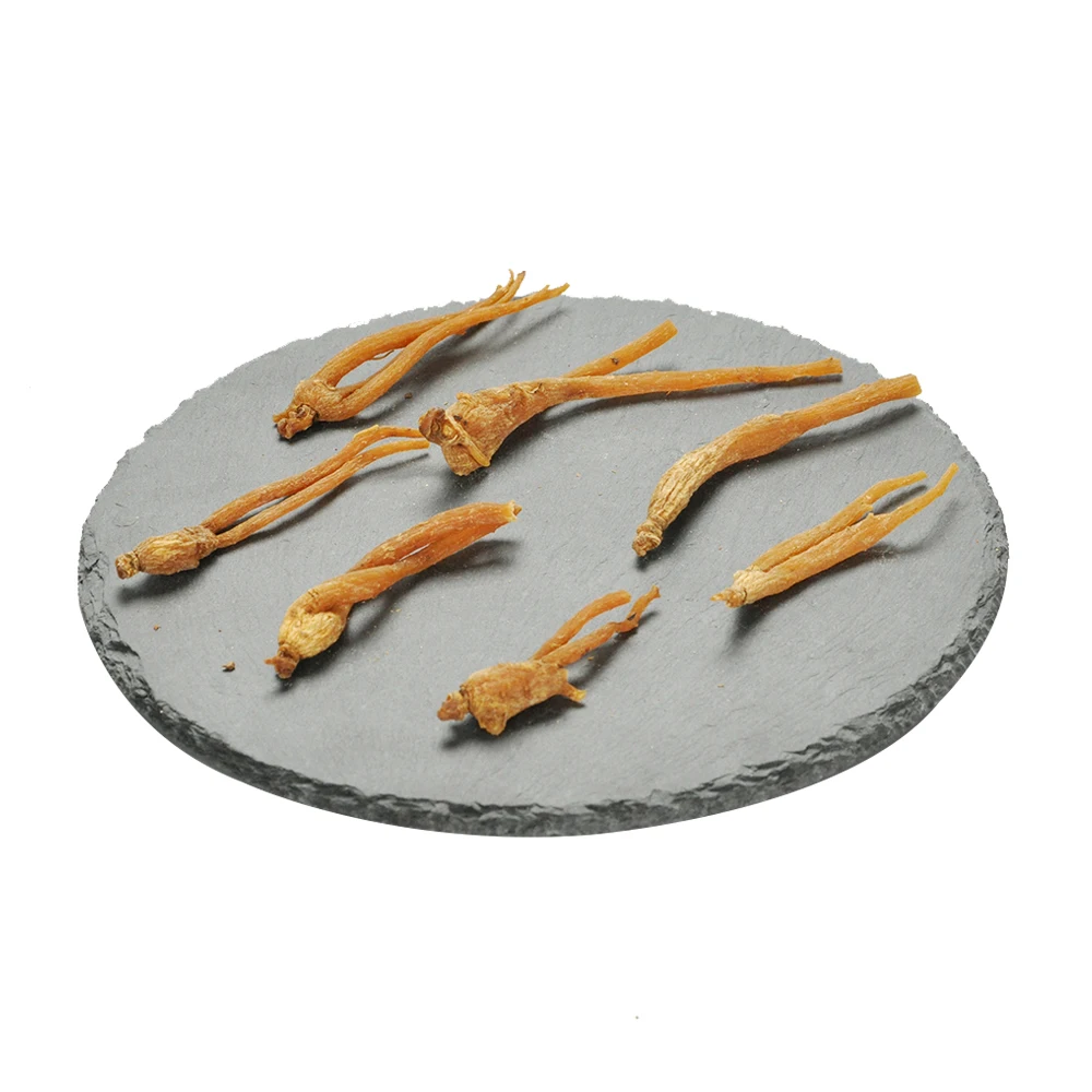 
Competitive Price Korean Dried Red Ginseng Roots for EU standard 