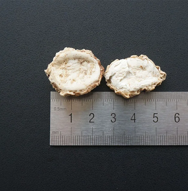 
China Spices&herbs raw material supplier wholesales fresh sand ginger spices used in chinese cooking price of sand ginger 