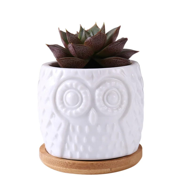 

Factory direct sales White Ceramic Succulent Planter Pot with Bamboo Tray