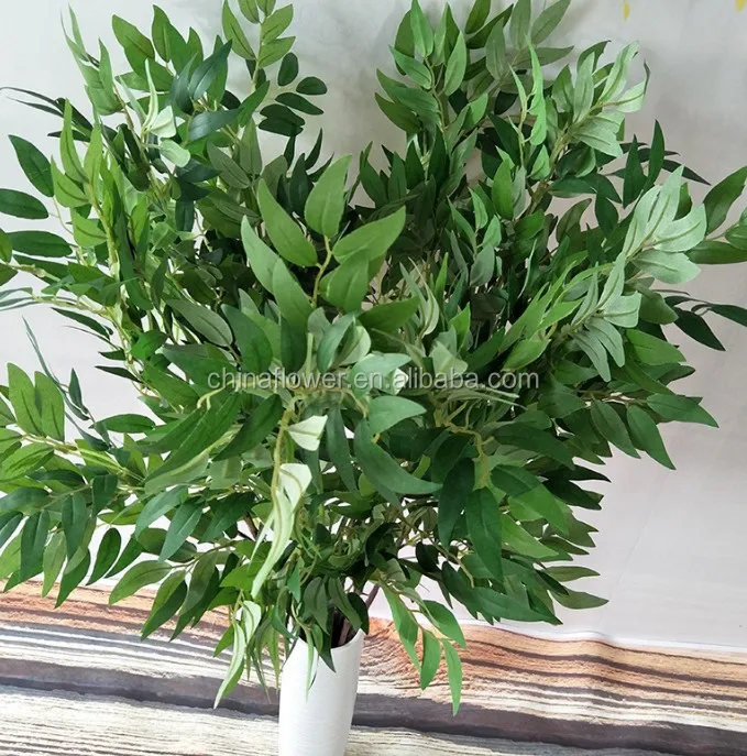 willow leaf  (3).JPG