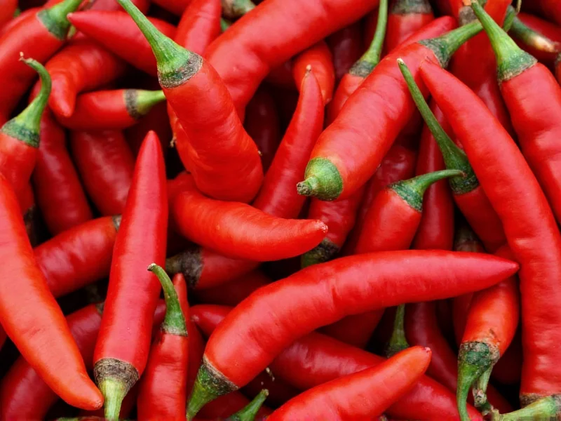 Are Chipotle Chiles Hot? Heat Level Explained