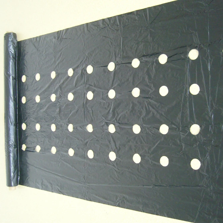 
Agricultural black plastic perforated mulch film with holes for strawberry 
