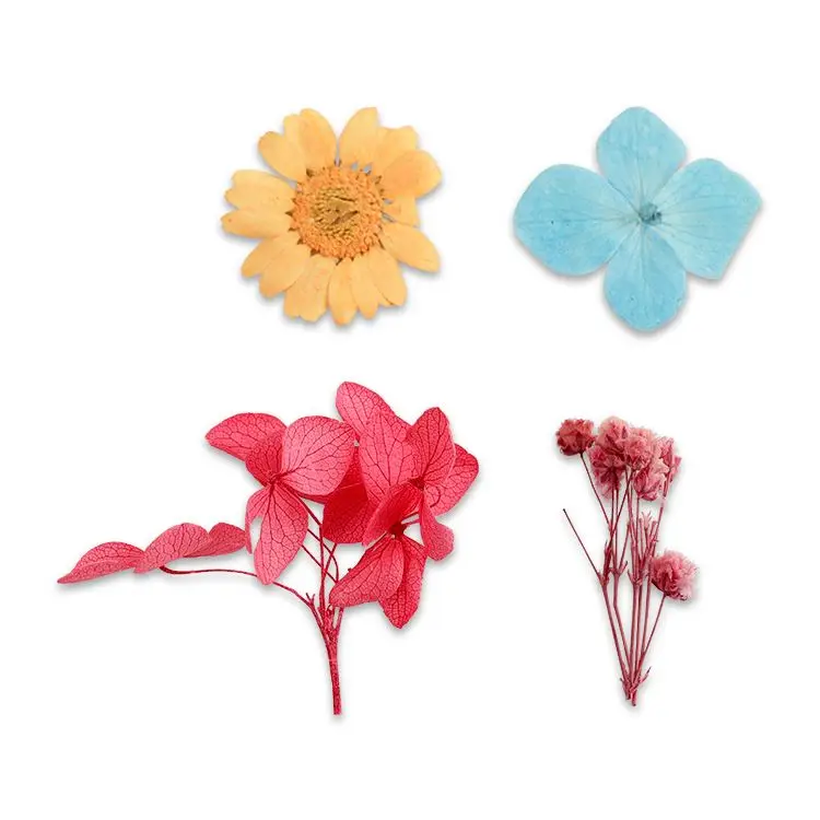 

Natural Dried Flowers for Nail Art Acrylic 3d Nail Flower Decoration Pearl Sticker 2021 Nail Art Accessories Design, 10 colors