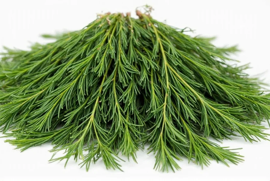 Dill Weed vs Dried Dill: Clearing the Confusion