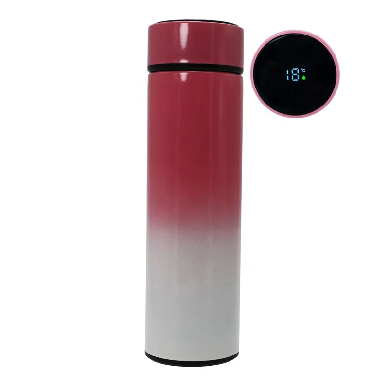 

Custom logo vacuum insulated stainless steel LED temperature display smart water bottle thermo flask with filter, Customized color