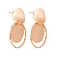 

2019 schmuck accessories rose gold sand blasting earrings for women girl stainless steel jewelry earring