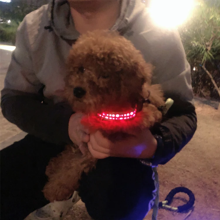 

Light Up Pet Accessories Manufacturer Custom Led Glowing Designers Nylon USB Charging Dog collar led, Blue red green