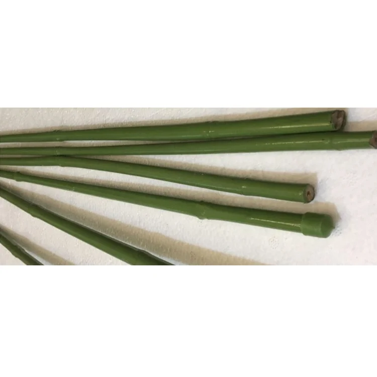 
Bamboo Pole with Plastic Coated Plant Stakes Supports Natural Bamboo Stake Climbing for Tomatoes Trees Beans  (62332718874)