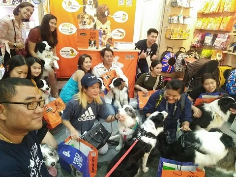 
Dried Whole fish Anchovy fish low sodium no sugar added All natural Fresh 30 grams Made in Thailand 