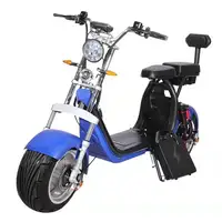 

2 wheel motor standing 40ah battery alloy wheel citycoco seev woqu electric scooter with two battery