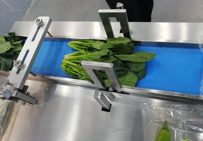 Packaging Machine.png