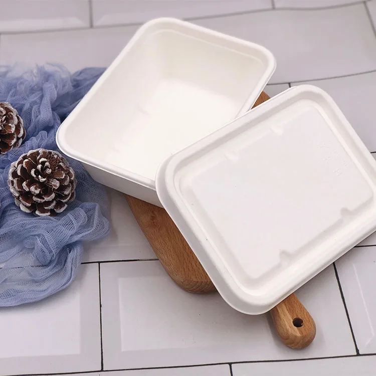 

Eco Friendly Sugarcane Pulp Molding Bagasse Tableware Food Tray Disposable Biodegradable, White