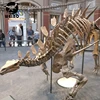 Dinosaur fossil large dinosaur skeleton model for museum