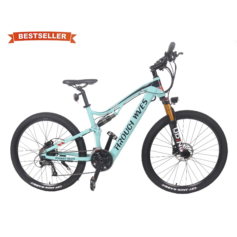 

500W-1000W Tools Fast E-Bike Electric Mountain Bike Bicycle, Customizable