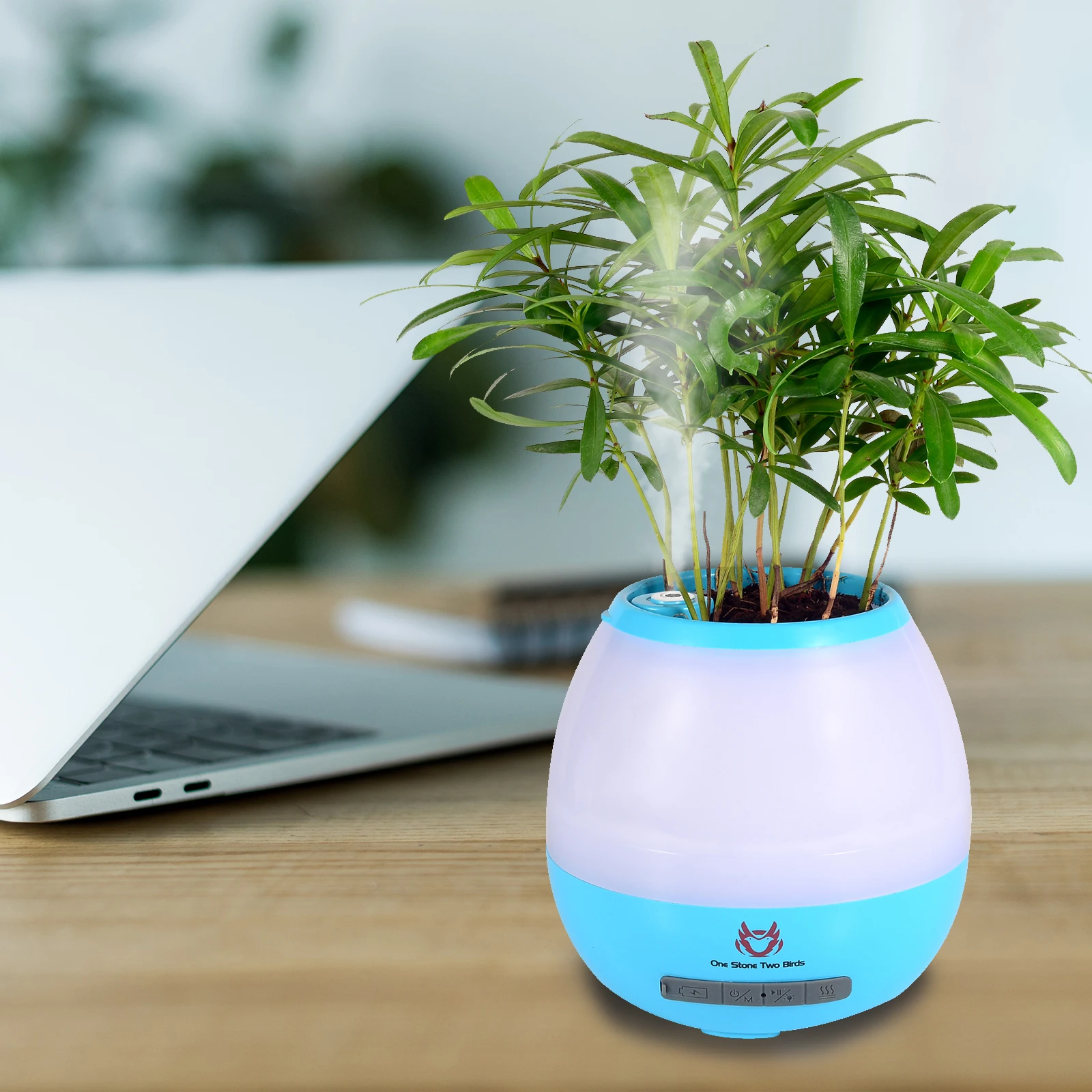 

Factory Price Cheap OEM Desktop Flower Pots Humidifier Music Smart Flowerpot USB Rechargeable Glow Speaker Music Flowerpot