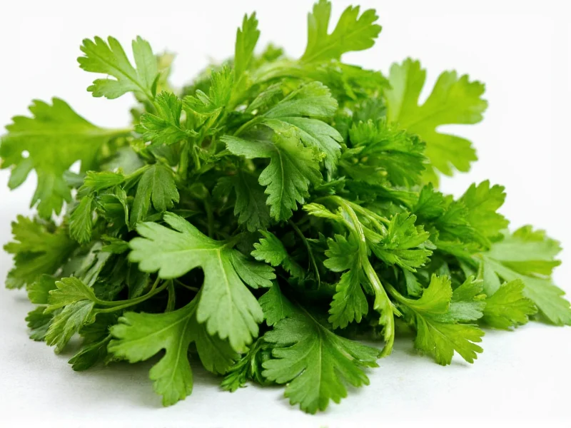 Best Parsley Substitutes: Practical Cooking Alternatives