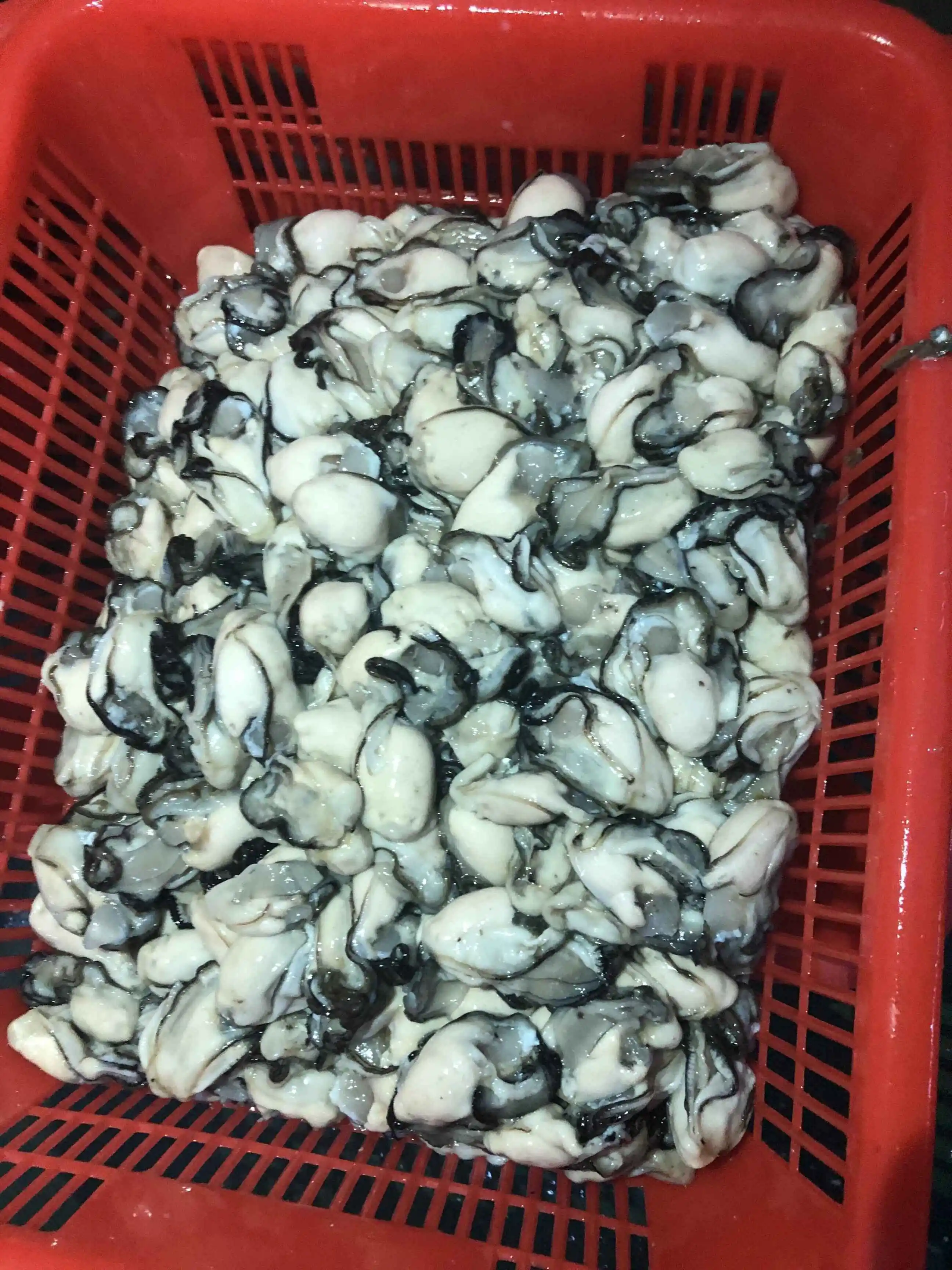 Frozen Oyster Meat Half Shell Oyster Whole Shell Oyster For Sale Buy Frozen Oyster/frozen