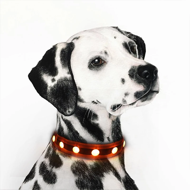 

Custom polyester rechargeable led dog collars for training