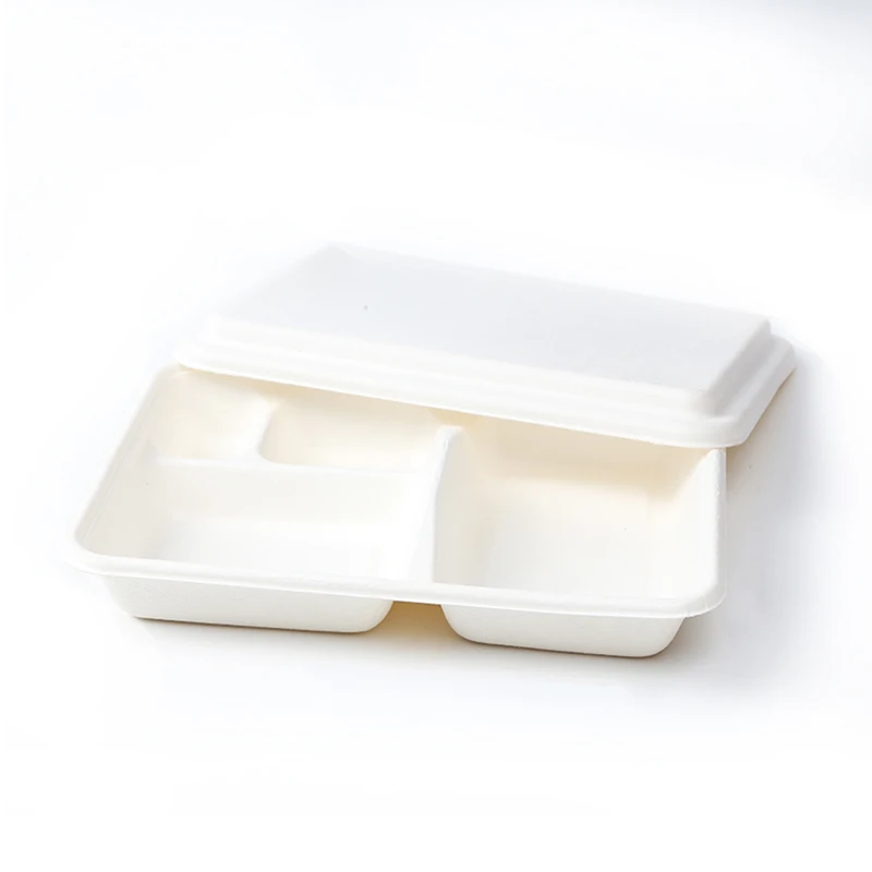 

Disposable Bagasse Paper Lunch Box Fast Food Packaging Lunch Tray Dishes Plates Food Container, Black, white, red, green or customized