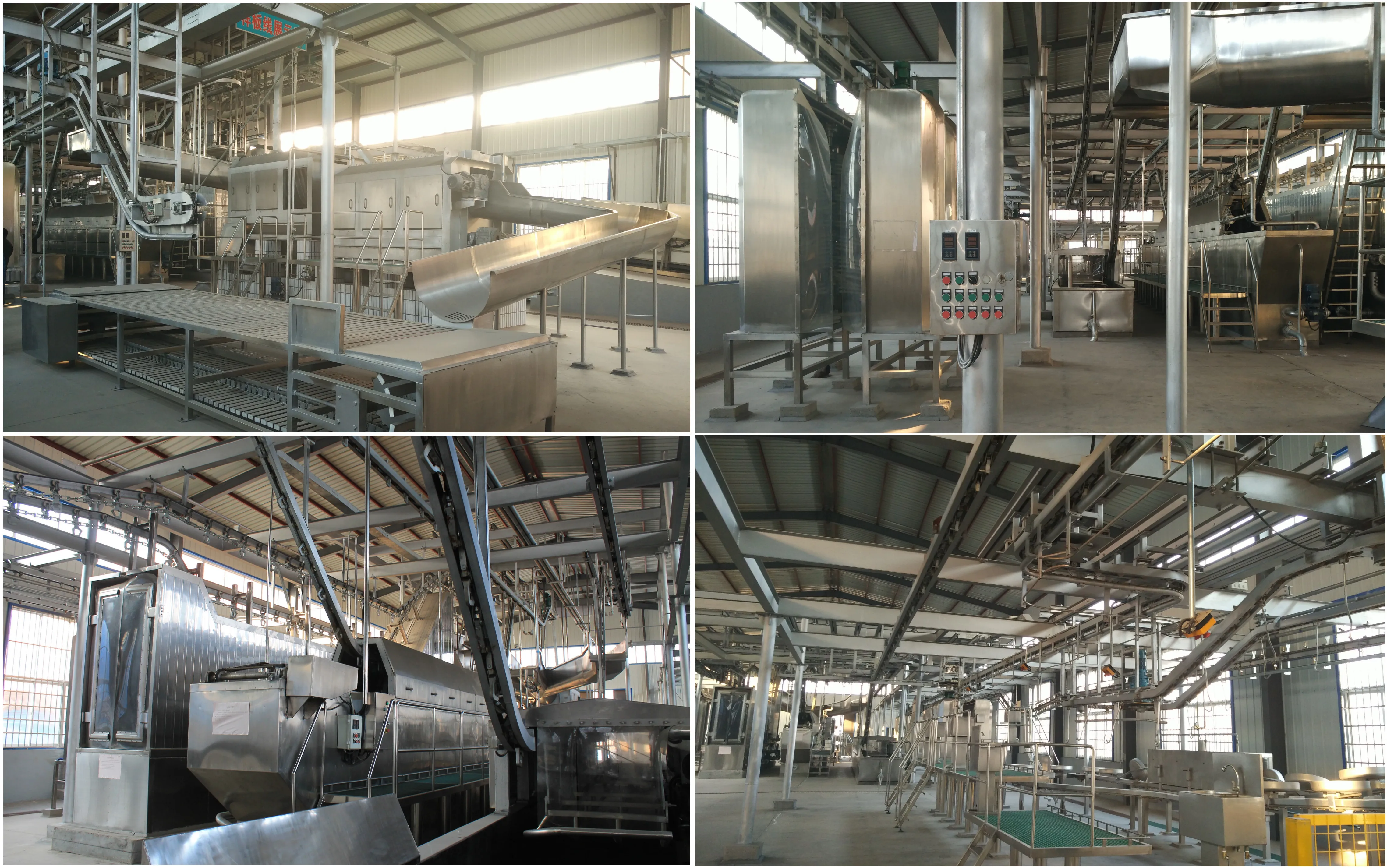 halal_slaughter_house_line_lamb_abattoir_with_sheep_meat_processing_cutting_butcher_equipment