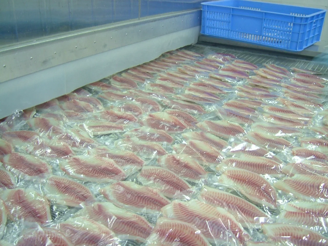 
High quality 1000kg/h IQF tunnel quick freezer for seafood processing 