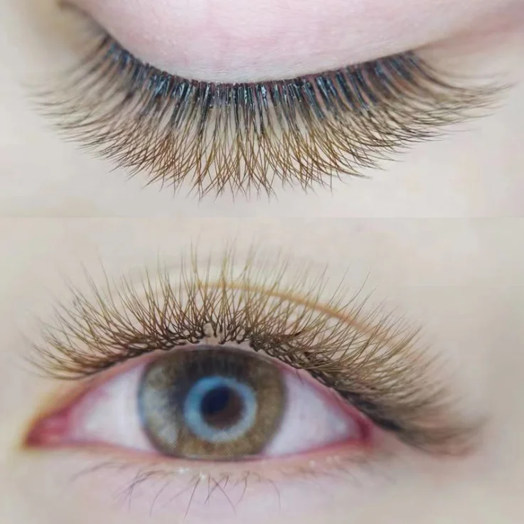 

SUOHIY W Shape Clover Eyelash Custom Packing Individual Lashes Extension, Black, caramel